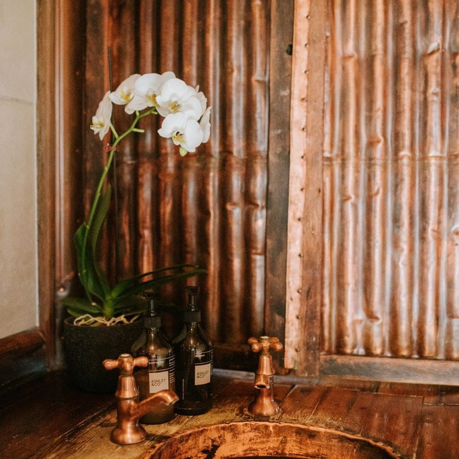 Cottage - bathroom sink with flower vase (AIC - April 2022) - square - resized